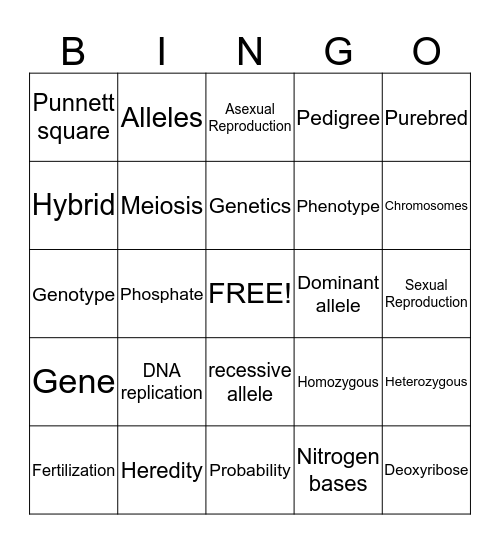 DNA Bingo Review Bingo Card