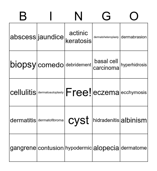 Chapter 4 Vocabulary Bingo Card