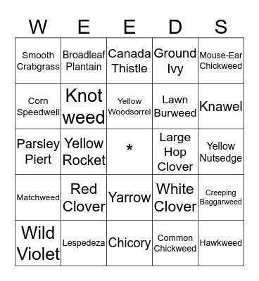 LAWN DOCTOR  Bingo Card