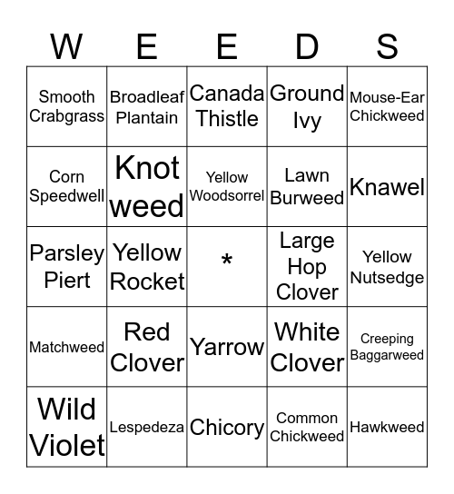 LAWN DOCTOR  Bingo Card