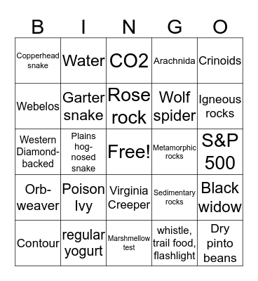 Activity Review Bingo Card