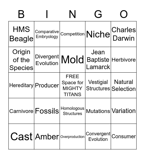 Evolution Bingo Card