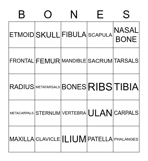 BONES Bingo Card