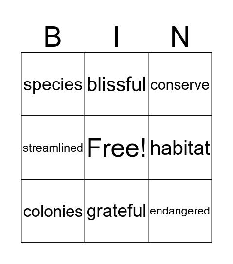 Words of the Week  Bingo Card