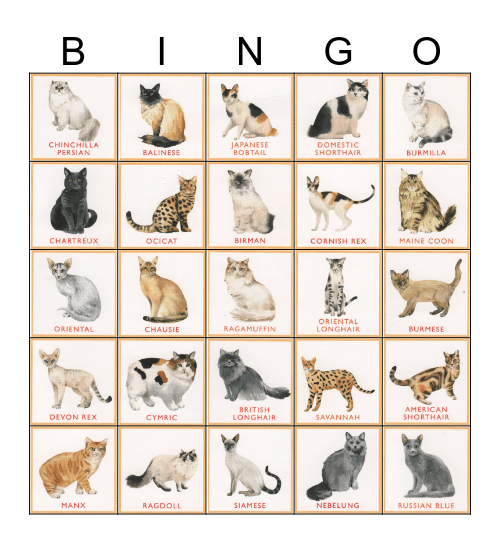 Neals Big Bad Cat Bingo Farewell Party 19/12/19 Bingo Card