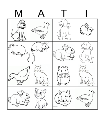 unit 4 animals Bingo Card