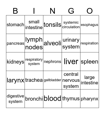 Unit 2:  Human Body System Bingo Card