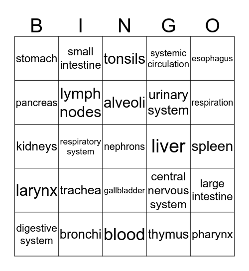 Unit 2:  Human Body System Bingo Card
