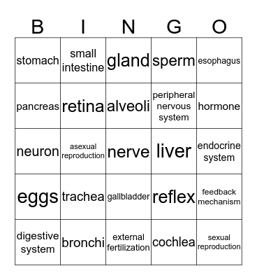 Unit 2:  Human Body System Bingo Card