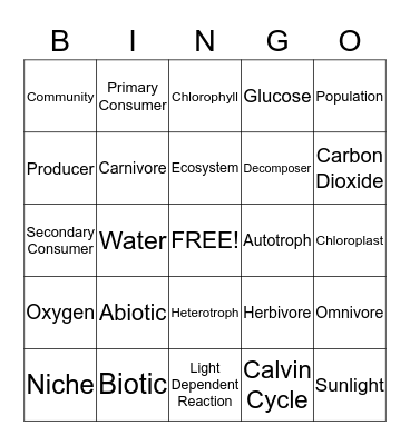 Ecology/Photosynthesis Quiz Review Bingo Card