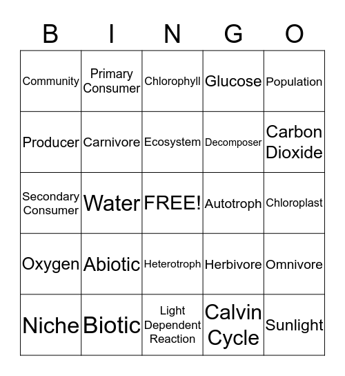 Ecology/Photosynthesis Quiz Review Bingo Card