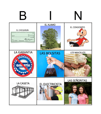 Loteria Casa Maria Isabel Bingo Card