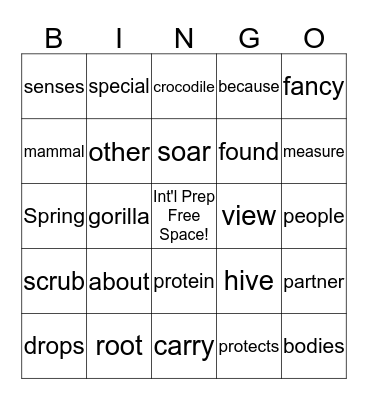 Seed International Prep Program Units 3-4 Bingo Card