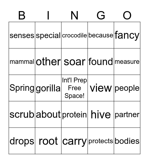 Seed International Prep Program Units 3-4 Bingo Card