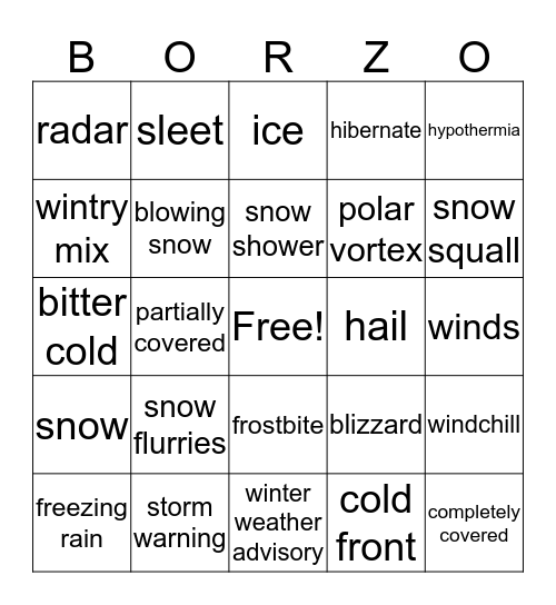 WINTER Bingo Card