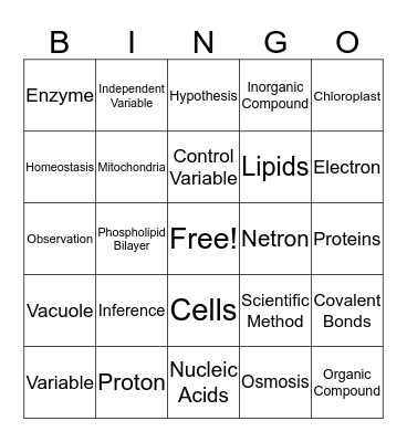 Science Bingo Card