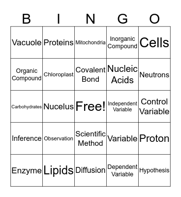 Science Bingo Card