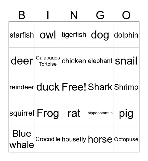Animal Bingo Card