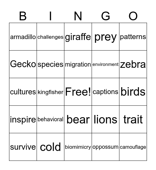 Adaptations Bingo Card