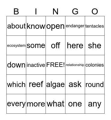 Vocabulary Bingo Card