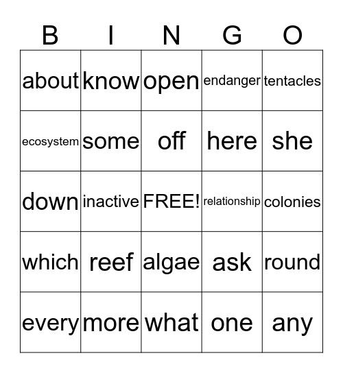 Vocabulary Bingo Card