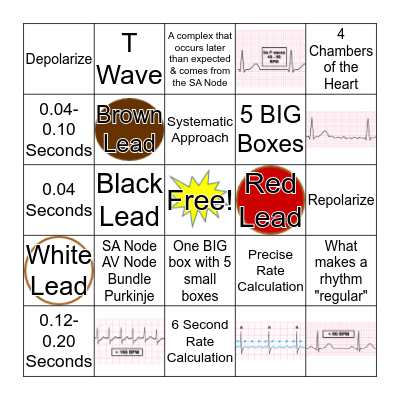 Intro to ECG BINGO Card