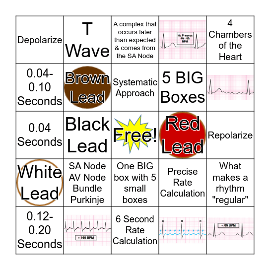 Intro to ECG BINGO Card