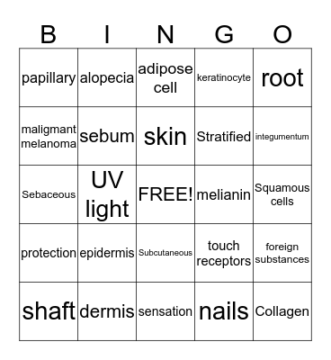 Sam&Lupe Game!!! Bingo Card
