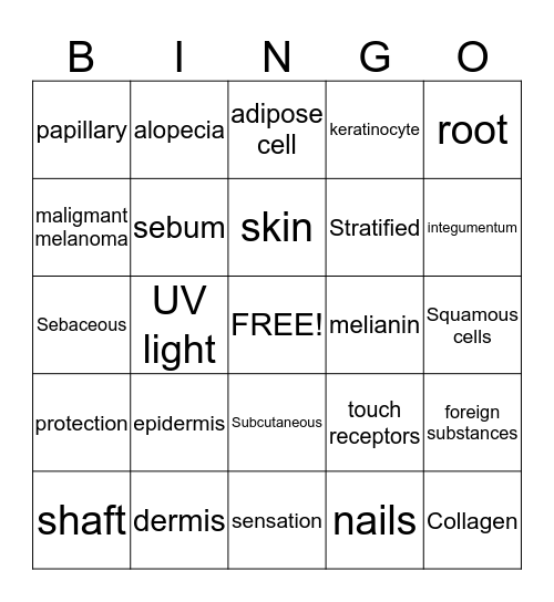 Sam&Lupe Game!!! Bingo Card