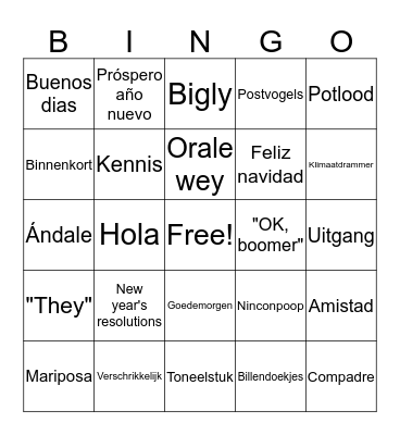 Taal language idioma Bingo Card