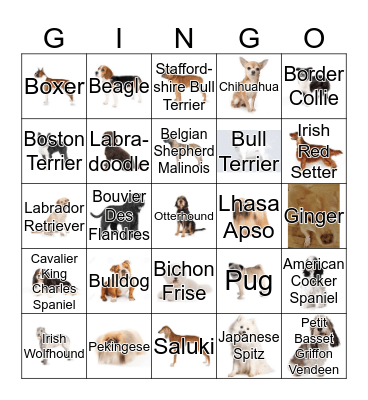 DOG BINGO Card
