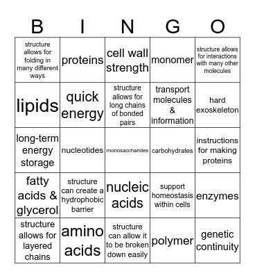 Macromolecule Structure & Function Bingo Card
