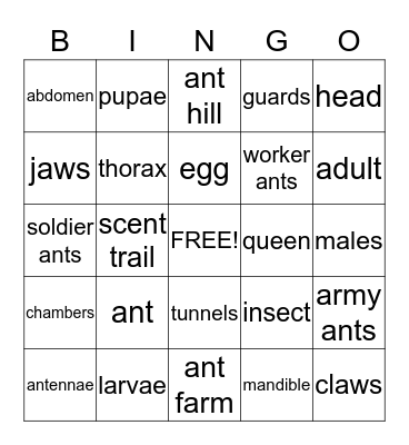Ant  Bingo Card