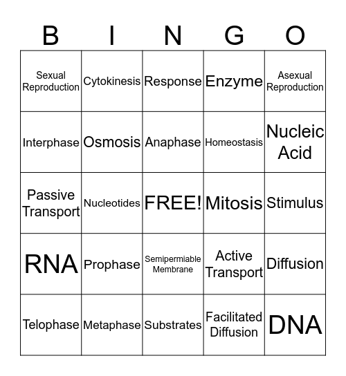 EOC Review - Cell pt 2 Bingo Card