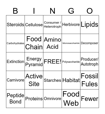 EOC Review - Molecular Bio, Ecology Bingo Card