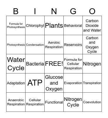 EOC Review - Cycles Bingo Card