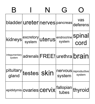 Reproductive, Endocrine, Nervous, Excretory, and Integumentary Systems Bingo Card