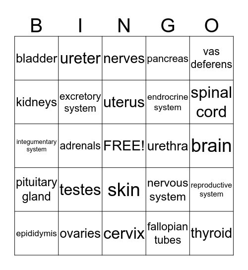 Reproductive, Endocrine, Nervous, Excretory, and Integumentary Systems Bingo Card