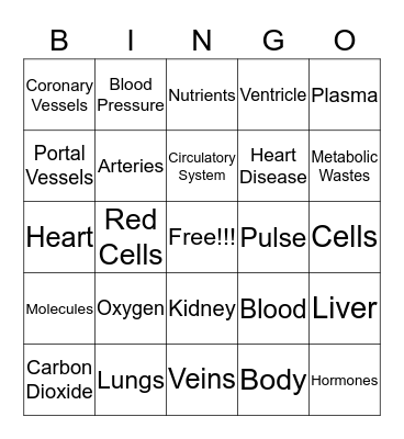 Circulatory System Bingo Card