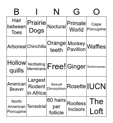 Rodent Bingo Card