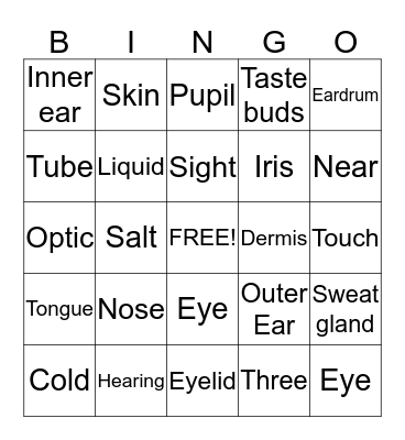 The Five Senses Bingo Card