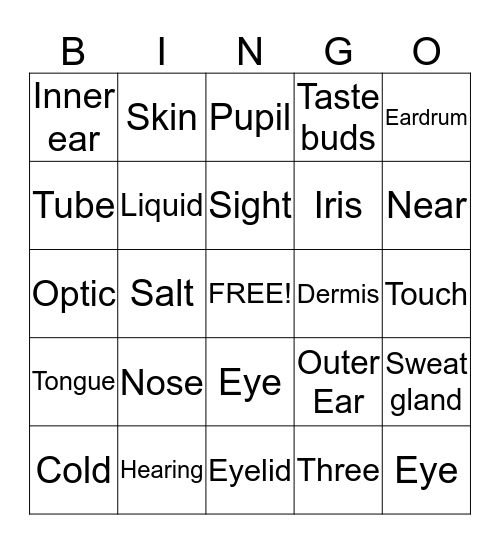 The Five Senses Bingo Card