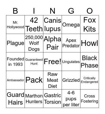 CANID Bingo Card