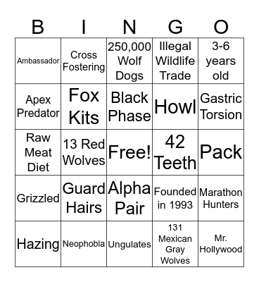 CANID Bingo Card