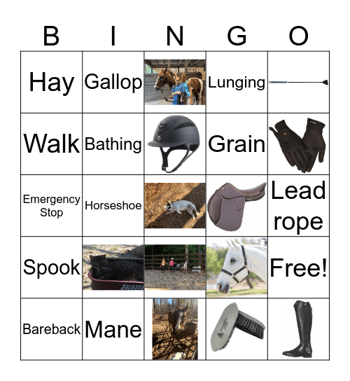 Horse Bingo Card