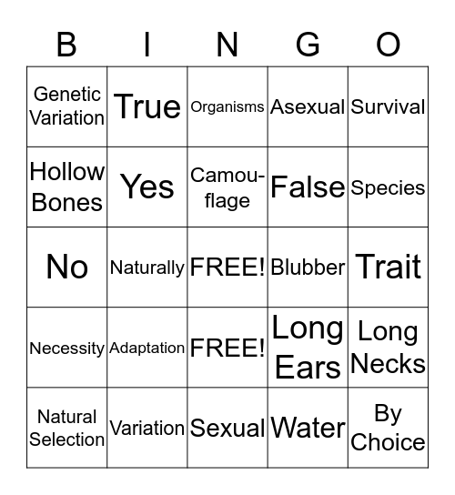 Adaptations Bingo Card