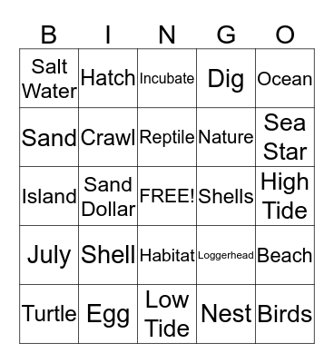 Sea Turtle Bingo Card