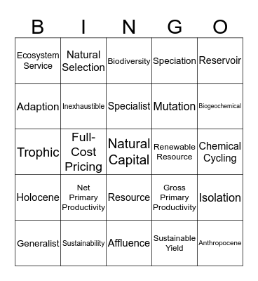 APES Word Wall Bingo Card