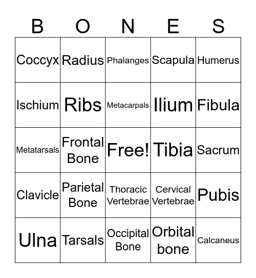 Bones Bingo Card