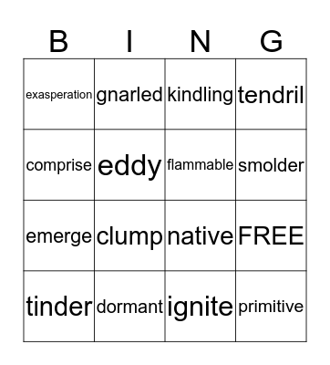 vocabulary Bingo Card